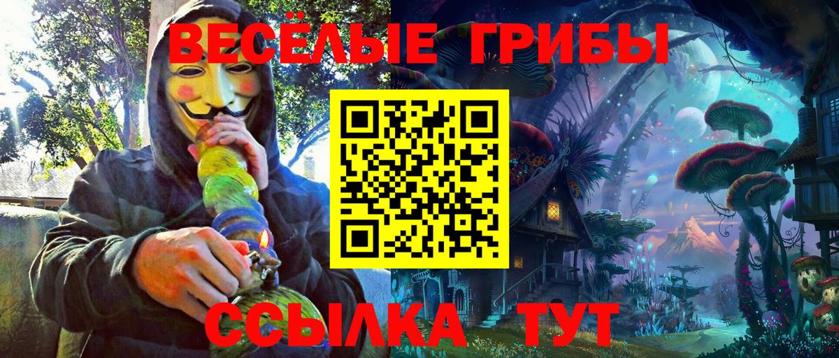 Псилоцибиновые грибы мицелий Калуга