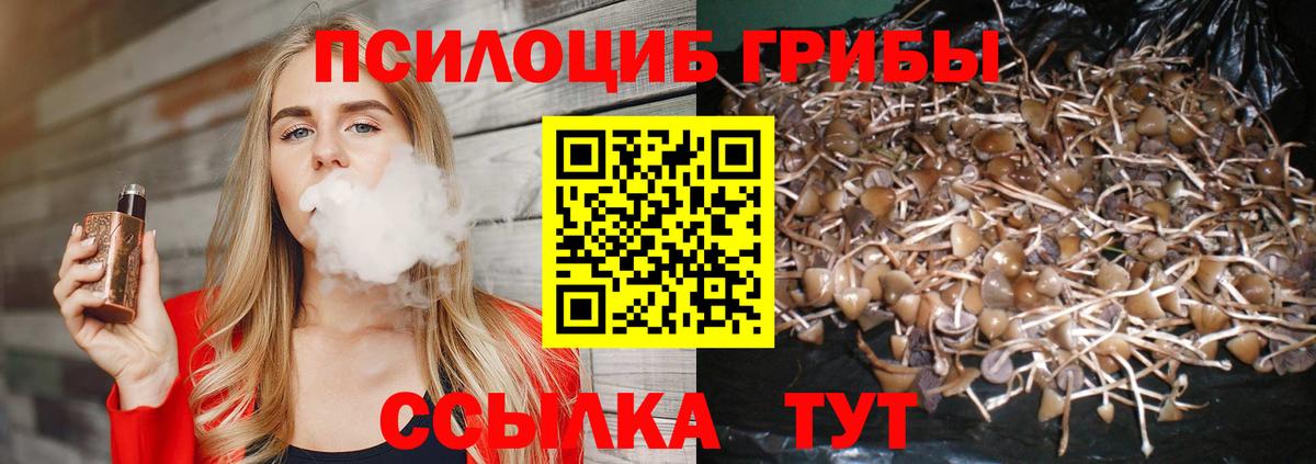 Калуга  Псилоцибиновые грибы Magic Shrooms  Вход с VPN  Псилоцибиновые грибы Cubensis 